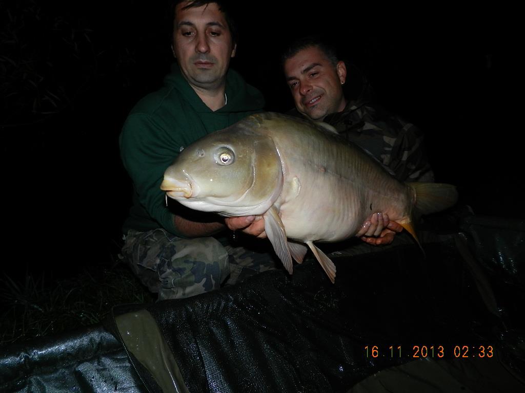 15 noiembrie 2013 - dscn1757.JPG